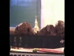 On a model train, women shit